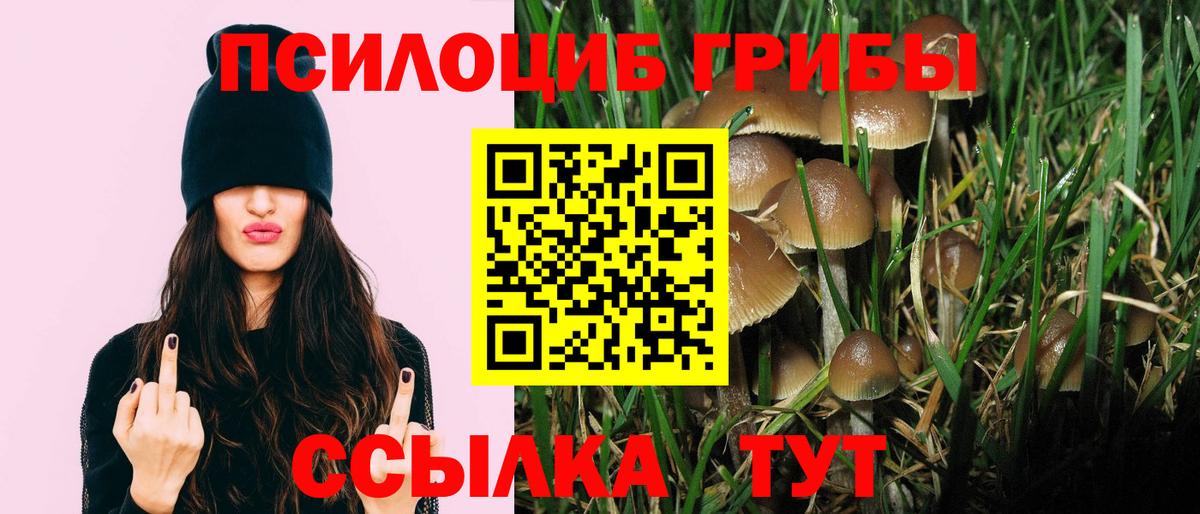 Галлюциногенные грибы MAGIC MUSHROOMS Златоуст